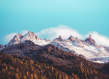 新援到位，辽宁铁人外援瓦吉奇已飞抵曼谷，将与球队会合