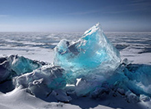 新援到位，辽宁铁人外援瓦吉奇已飞抵曼谷，将与球队会合